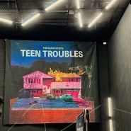 검정치마 콘서트 : TEEN TROUBLES In Seoul