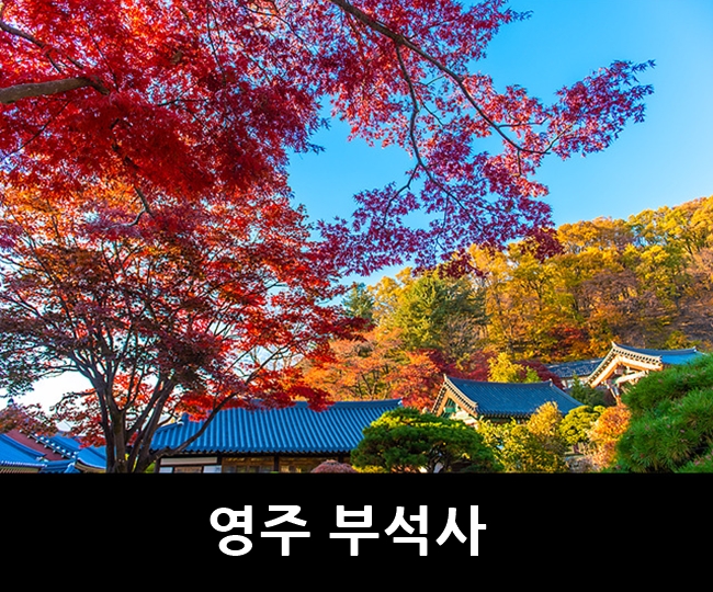영주 부석사 가을 단풍, 전국 유명 사찰 11월 가볼만한곳 영주 여행 : 네이버 블로그