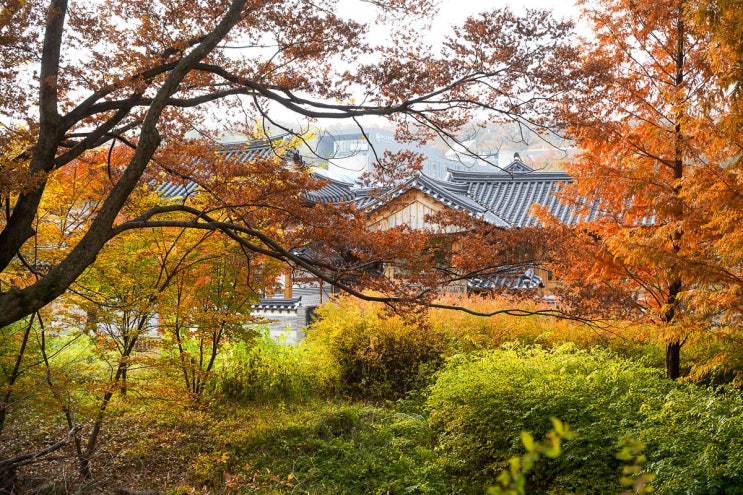 가을을 느끼기 좋은 은평한옥마을부터 진관사까지 단풍명소 : 네이버 블로그