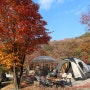 서울 근교 캠핑장 용인 단풍숲 캠핑장 곰돌이 사이트 후기 : 아이와 가기 좋은 캠핑장