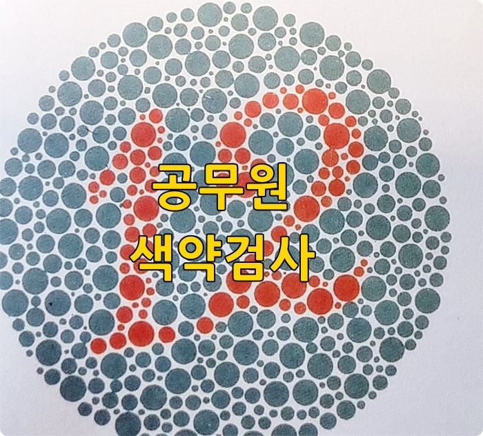 공무원 색약검사 : 네이버 블로그