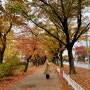 가을의 보문호, 보문단지 가을 걷기