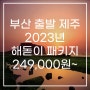 부산 출발 제주도 해돋이 패키지249,000원~