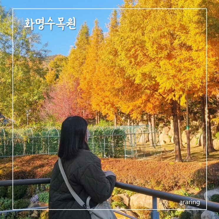 부산 단풍명소 화명수목원 단풍구경 가기 : 네이버 블로그