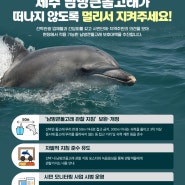 드라마 우영우에서 나온 ‘남방 큰 돌고래’가 해양보호생물이라고?