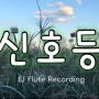 이무진의 신호등 플루트 커버 연주 (flute cover) / 배경 : 하늘공원 억새풀 축제