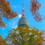 마자사진관ㅣ서울 남산타워의 가을풍경