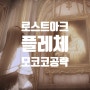 로스트아크 플레체 로아 모코코씨앗 위치 공략