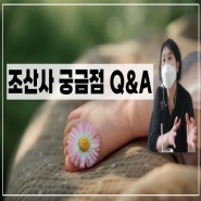 조산사 궁금점 Q&A 편입니다