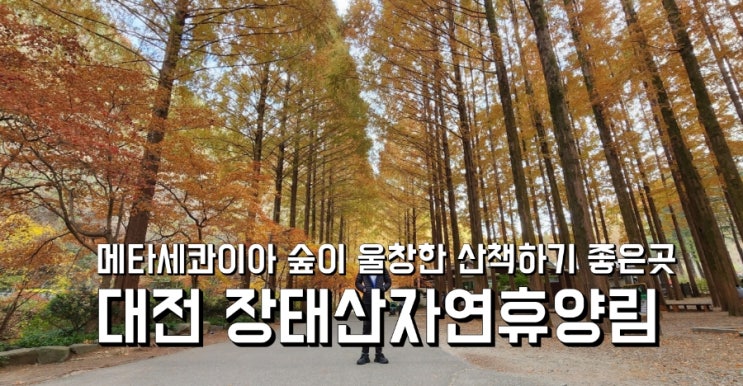 대전 아이와 가볼만한곳-산책하기좋은 장태산자연휴양림