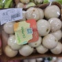[베트남 음식] 까파오Ca phao -베트남 화초가지. 베트남 계란가지-
