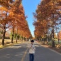 서울근교 아이랑나들이 인천 드림파크야생화단지 공원
