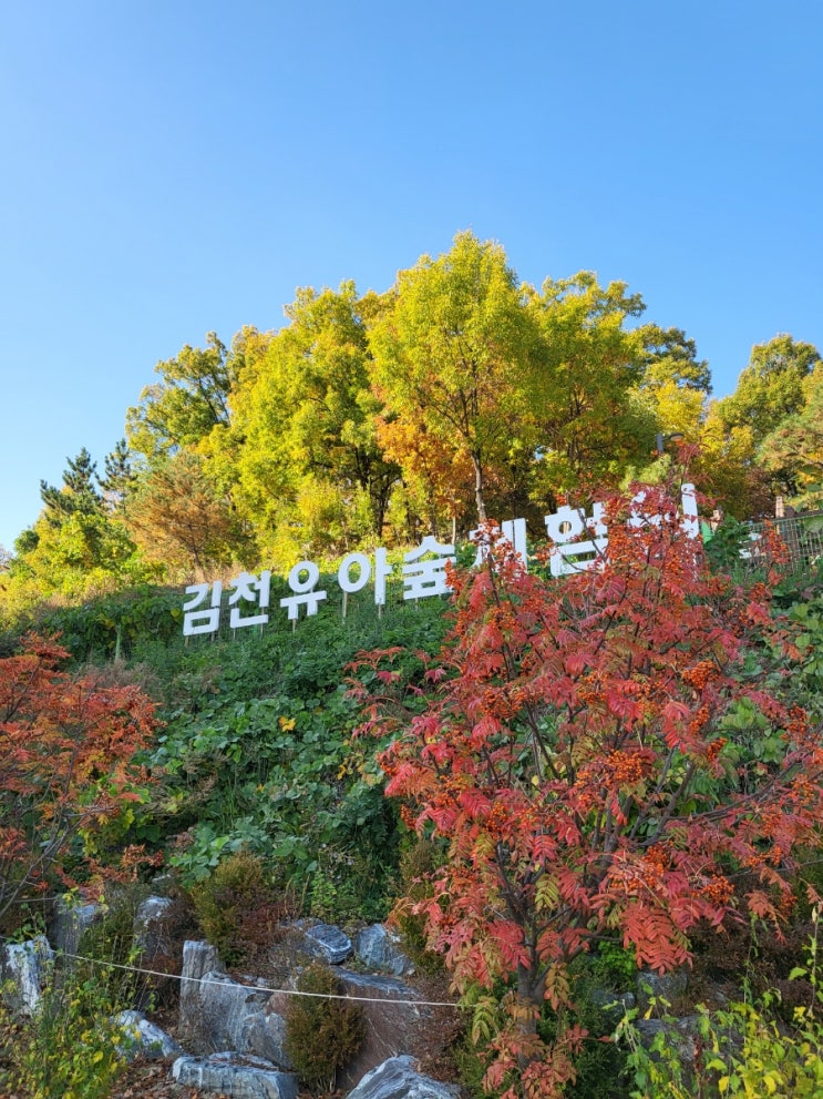 김천 아이와 가볼만한 곳 유아숲체험원