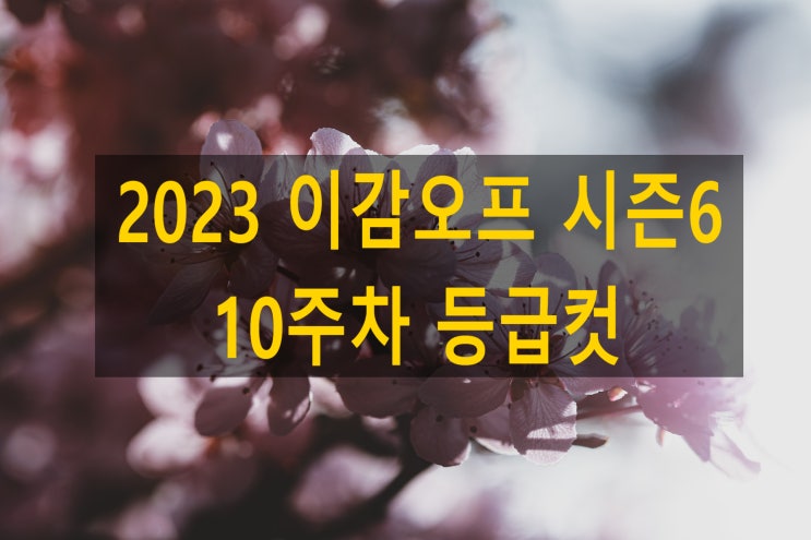 2023 이감국어모의고사 등급컷 오프 파이널 시즌6 10주차 등급컷공지합니다. 대구수성구 지산동독학학원 : 네이버 블로그 2023 이감국어모의고사 등급컷 오프 파이널 시즌6 10주차 등급컷공지합니다. 대구수성구 지산동독학학원 : 네이버 블로그
