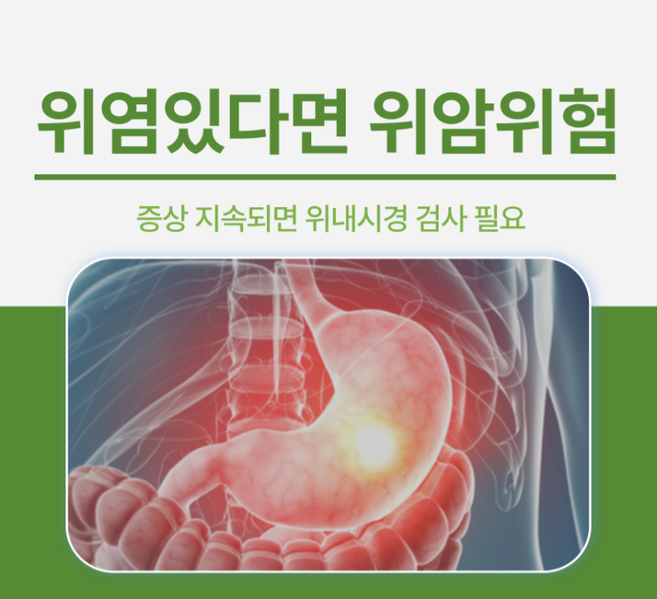 위내시경 검사 받아야하는 위염, 위암 발병률 높아 : 네이버 블로그