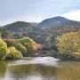 [화동못수변공원]울산 북구 가을에 가볼 만한 곳/산책하기 좋은 곳/아이와 나들이 가기 좋은 곳