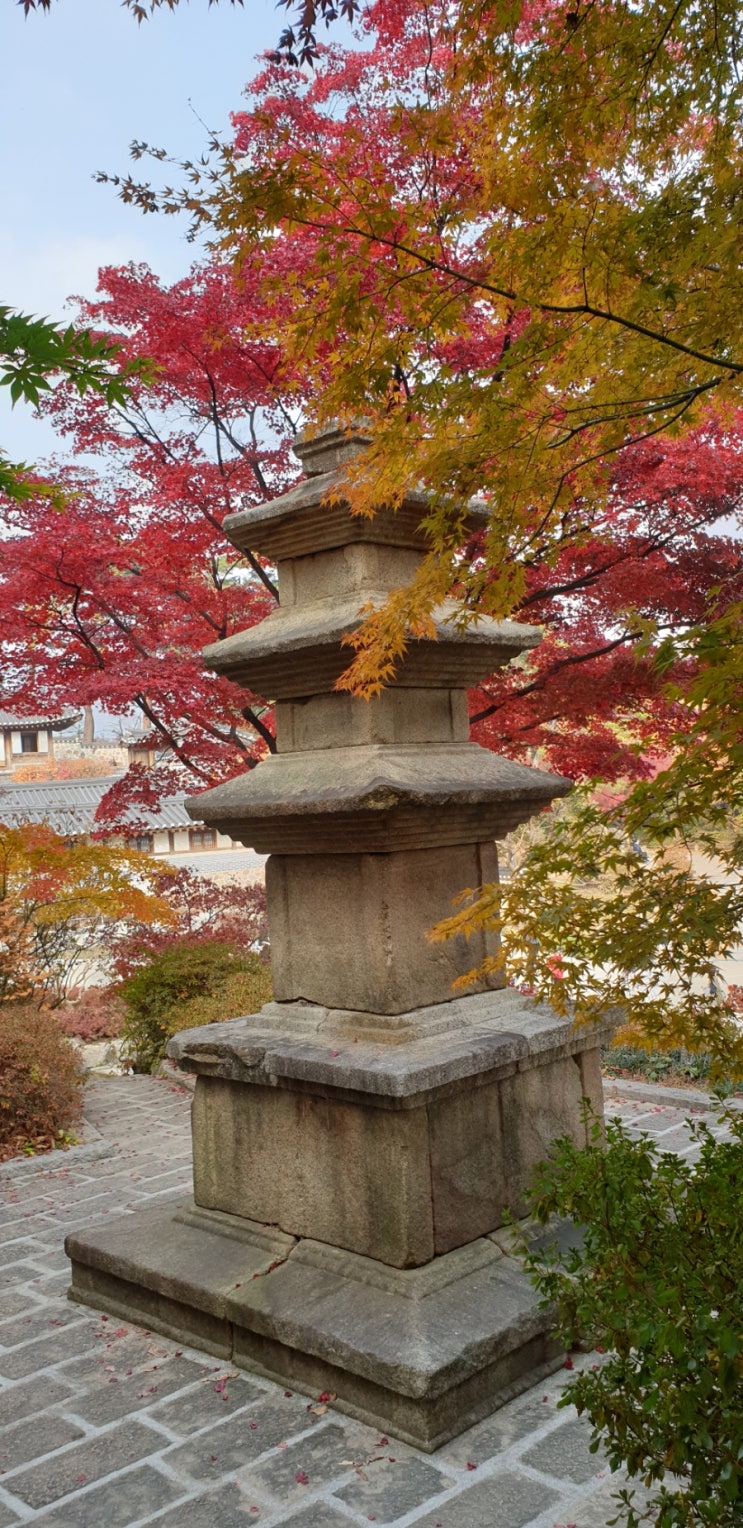 [7천보 걷기 인증 71일차] 서울미술관 관람 및 석파정 걷기 : 네이버 블로그
