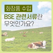 BSE 관련서류란 무엇인가요? [화장품수입대행]