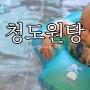 청도원탕! 가족탕 큰탕에 돌아기와 함께 여행!