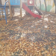 가을의 낙엽체험도 해보고 놀이터안전을 위해 청소도 하였습니다