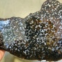 아프리카 케냐 석철운석 (팰러사이트) 슬라이스 운석