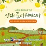 서울 가을 축제 : 제4회 양재 플라워 페스타 여긴 가봐야해!