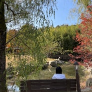 담양 여행 국수거리(옛날진미국수)죽녹원 관방제림 전남 가볼만한 곳