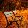 [가을 노래 추천, 가을에 듣고 싶은 노래] 악동뮤지션 - 시간과 낙엽 가사/듣기