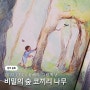 책육아 비밀의 숲 코끼리나무 그림책추천