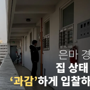 은마 아파트 경매 임장 특파원 (드론 날리다 잡혀갑니다)