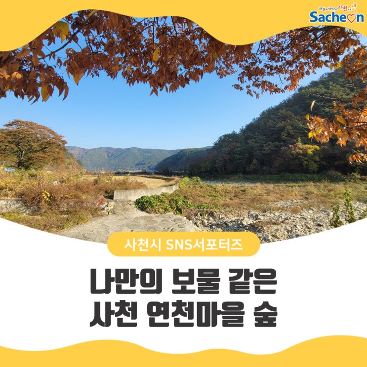 나만의 보물 같은 사천 연천마을 숲 : 네이버 블로그
