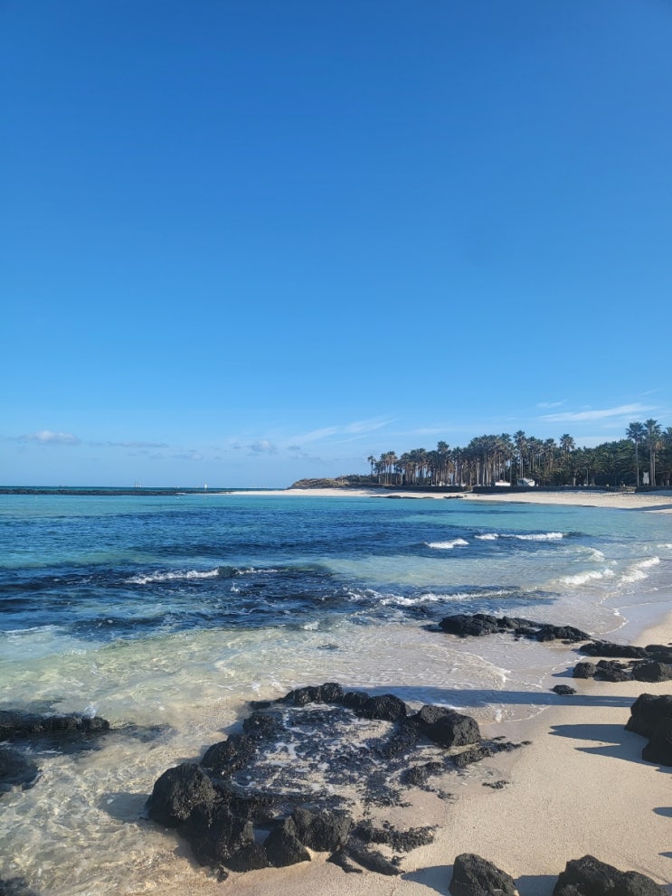 [제주도] 제주도 서쪽 코스 2박 3일 일정 Day3 금능해변 수우동 카페 쉼표 : 네이버 블로그