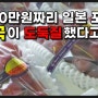 일본의 1400만원짜리 포도 루비로망, 한국이 도둑질? 루비로망 대체 뭐길래