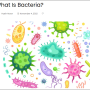 영어기사 읽기 - 박테리아가 무엇입니까?