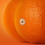 Emotional Oranges (이모셔널 오렌지스) - West Coast Love [듣기/가사/해석]