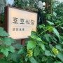[혜화역]핫플 호호식당 / 삼원샏카페 갬성카페!!
