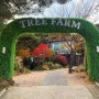 팔공산 숲속 느낌의 카페 : 트리팜 ( TREE FARM)
