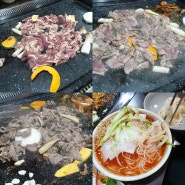 하남 신장동 맛집 장수돌판오리