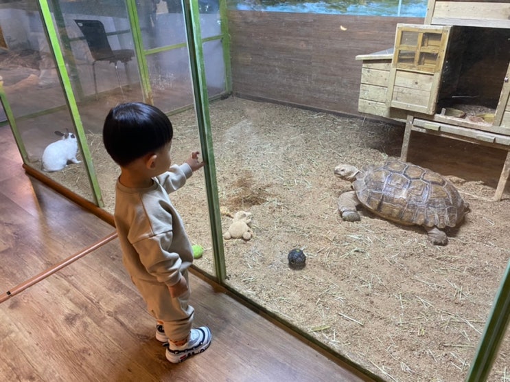 대전 실내동물원 티놀자 애니멀파크 아기랑