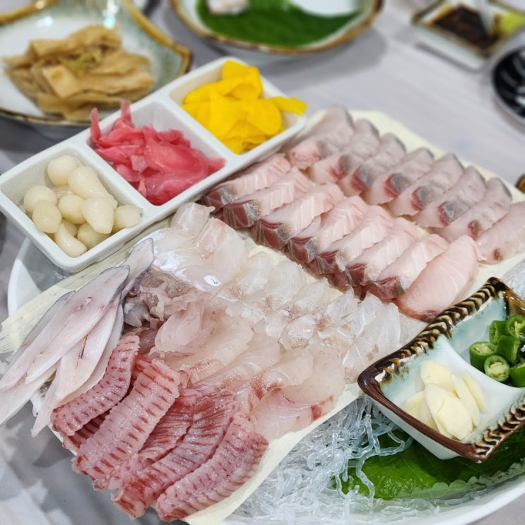 여수 미평동 양지선어 맛있는 선어회모듬 먹고왔어요! : 네이버 블로그