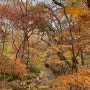 경남 늦가을 가볼만한 곳으로 추천하는 함양 상림공원
