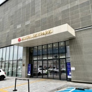 대전 웨딩홀:루이비스컨벤션 뷔페 시식후기