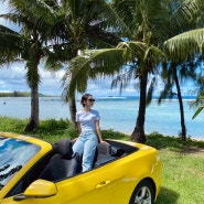 괌 렌트카 머스탱 , 경차 빌려서 자유여행 블루 렌터카