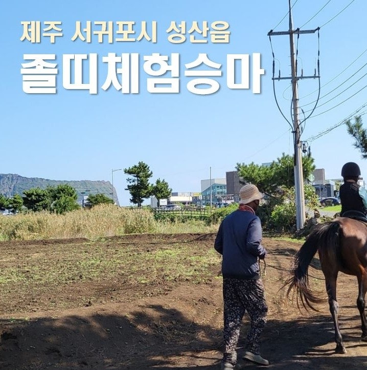 성산일출봉 승마 졸띠체험승마 가성비 2번이나 방문!