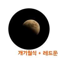 2022.11.07.-11.13 개기월식+레드문/신랑 파견끝/소소한 행복❤️
