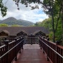 경남 거제 자연휴양림 가을끝자락 1박2일 여행 : 거제맛집 강성횟집-거제식물원(정글돔)-거제자연휴양림