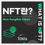 NFT란 무엇인가? 테넷디에스와 쉽게 알아보자!