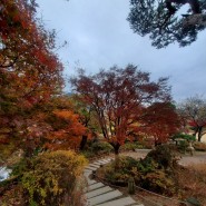 [석파정] 서울 단풍 추천: 초등아이와 부암동에서 가을을 즐겼습니다.