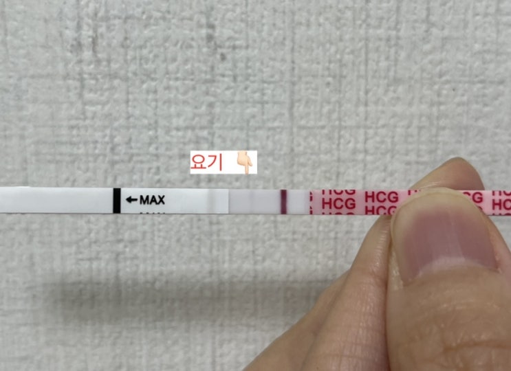 [임신준비] 더딘 원포 진하기 / 화학적 유산(늦은 생리)진행중 / 화유복통 : 네이버 블로그