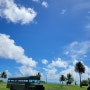 하와이 신혼여행 5탄🌴 (22.09.20) 쿠알로아랜치 UTV 랩터투어, 풍경, 가격, 준비물 솔직후기